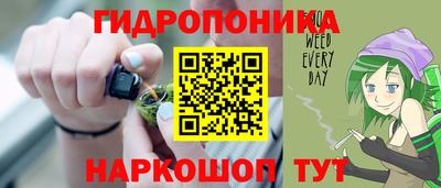 индика Тверь