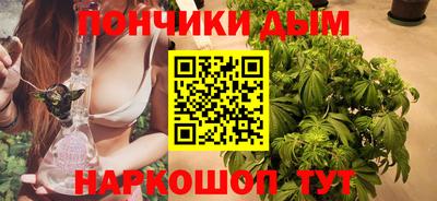 индика Тверь