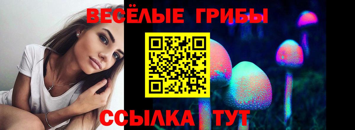 Новошахтинск  хочу   Галлюциногенные грибы Magic Shrooms  Вход с VPN  Галлюциногенные грибы мицелий 